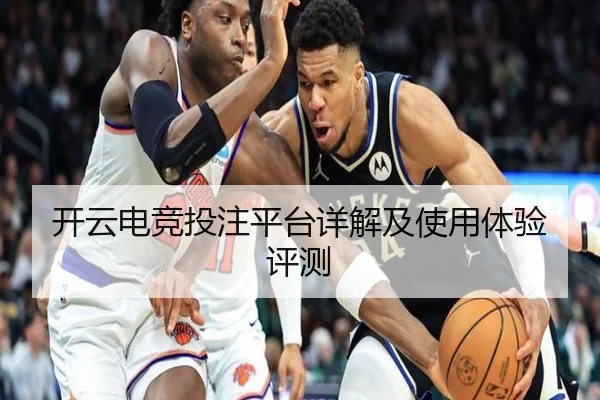 开云电竞投注平台详解及使用体验评测