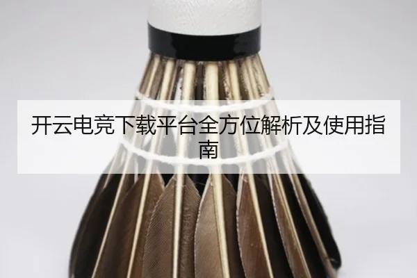 开云电竞下载平台全方位解析及使用指南