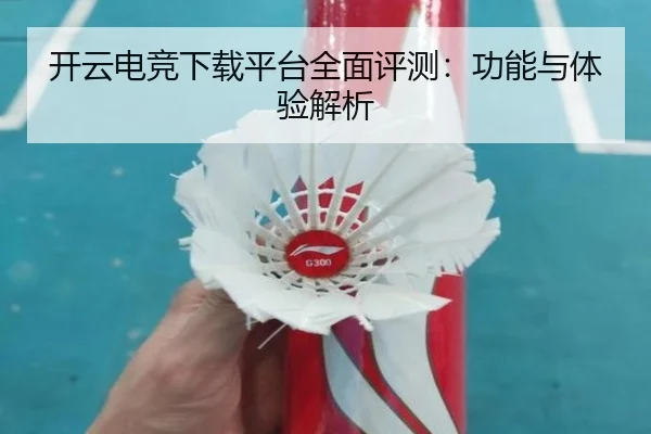 开云电竞下载平台全面评测：功能与体验解析