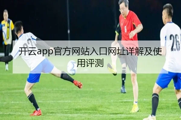 开云app官方网站入口网址详解及使用评测