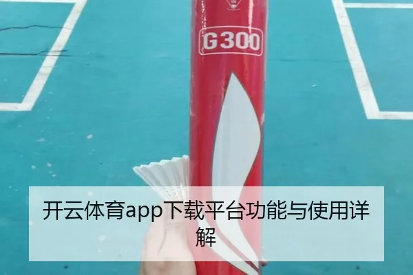 开云体育app下载平台功能与使用详解
