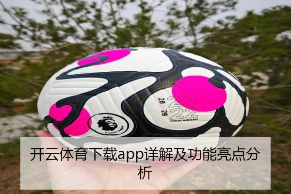 开云体育下载app详解及功能亮点分析