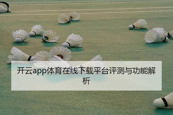 开云app体育在线下载平台评测与功能解析